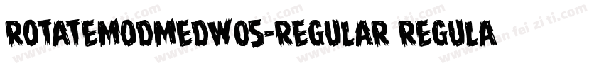 RotateModMedW05-Regular Regular字体转换
